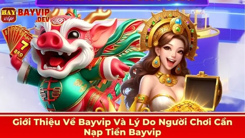 What Is bayvip? A Complete 2025 Overview for Beginners